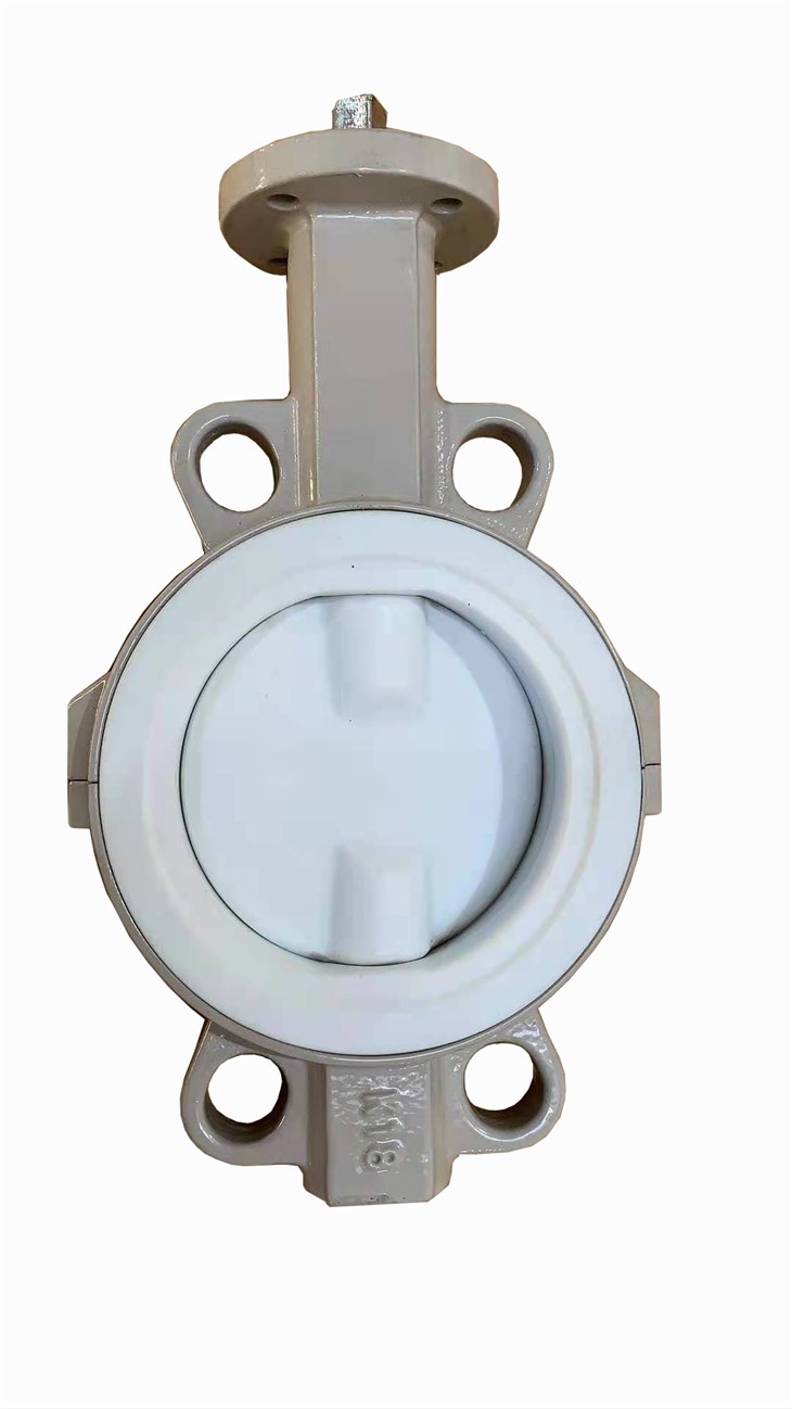 Split Wafer Butterfly Valve