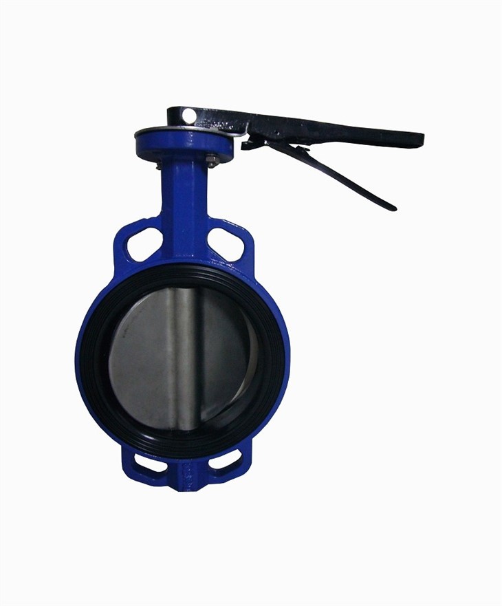 VITON seated butterfly valve2(001)